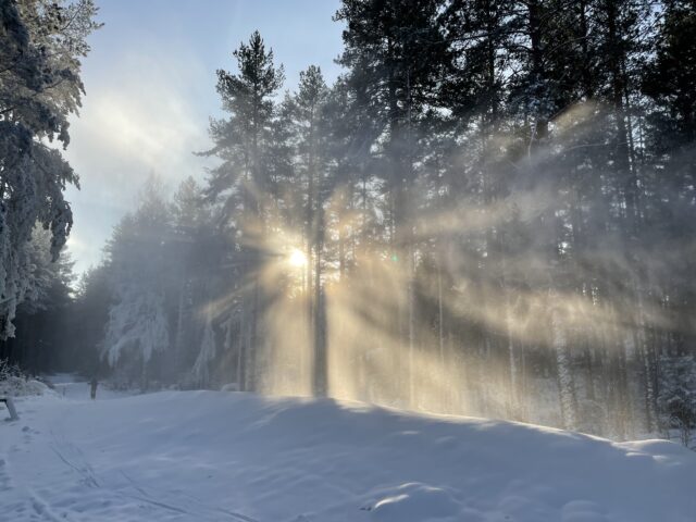 Vinterbild 2 ett snöigt och soligt landskap